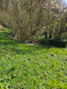 Photo de galerie - Avant