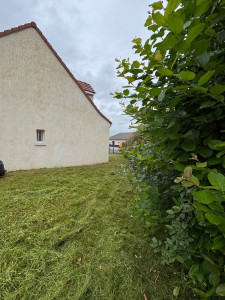 Photo de galerie - Jardinier