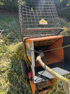 Photo de galerie - Elagage et coupe d'arbres