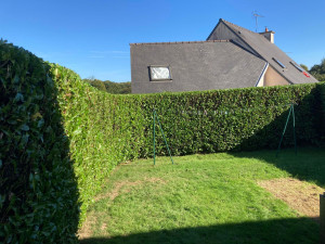 Photo de galerie - Réalisation de taille de haies