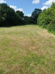 Photo de galerie - Débroussaillage d'herbe haute et tonte
