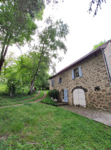 Photo de galerie - Élagage et démontage de 2 bouleaux très grand et gravement penchés sur la maison