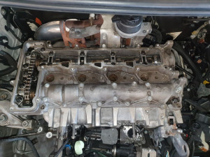 Photo de galerie - Remplacement linguets chaîne 2l hdi 