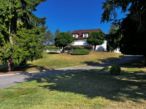 Photo de galerie - Tonte et taille 