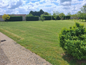 Photo de galerie - Tonte pelouse