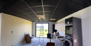 Photo de galerie - Isolation, plafond , peinture 