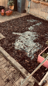 Photo de galerie - Jardinier