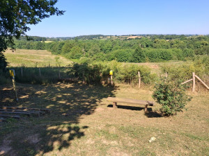 Photo de galerie - Debroussaillage 