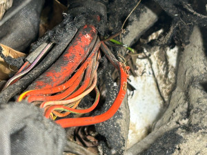 Photo de galerie - Réparation faisceau suite un nid de rat dans le moteur