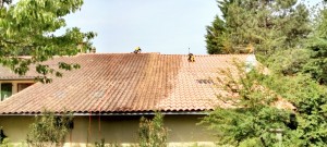 Photo de galerie - Couverture - Toiture