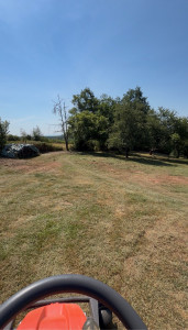 Photo de galerie - Tonte complète d’un grand terrain avec finitions soignées. Pelouse remise au propre pour un rendu net et régulier.