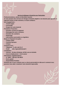 Photo de galerie - Ménage et repassage 