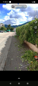 Photo de galerie - Jardinier