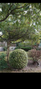 Photo de galerie - Bricolage et multi services