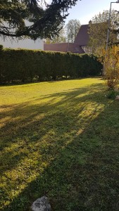 Photo de galerie - Aujourd'hui tonte de pelouse