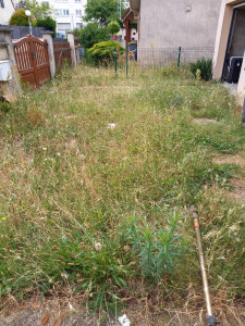 Photo de galerie - Avant débroussaillage