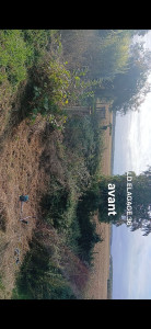 Photo de galerie - Tonte de pelouse - Débroussaillage