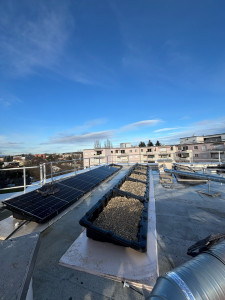 Photo de galerie - Pose de panneau photovoltaïque 