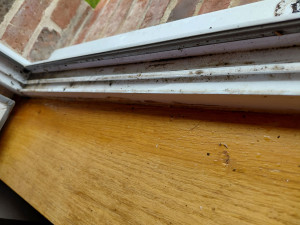 Photo de galerie - Avant