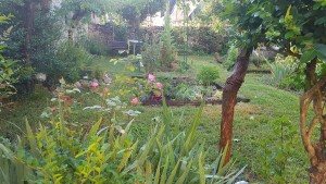 Photo de galerie - Paysagiste - Aménagement du jardin