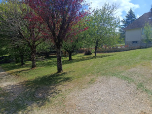 Photo de galerie - Tonte de pelouse - Débroussaillage