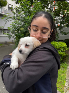 Photo de galerie - ? ????