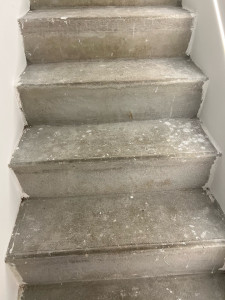 Photo de galerie - M