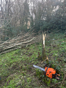 Photo de galerie - Jardinier