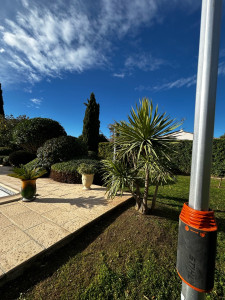 Photo de galerie - Entretien régulier (taille - tonte - nettoyage complets)