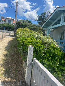 Photo de galerie - Jardinier