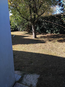 Photo de galerie - Tonte de pelouse - Débroussaillage