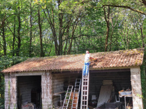 Photo de galerie - Couverture - Toiture