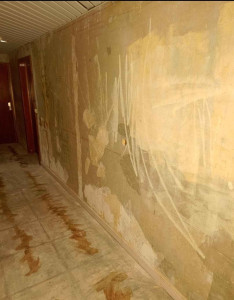 Photo de galerie - Photographe