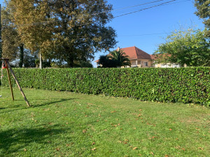 Photo de galerie - Good job!