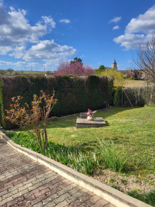 Photo de galerie - Taille de haies et d'arbustes