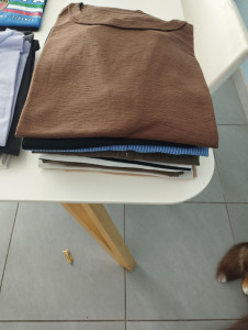 Photo de galerie - Repassage 