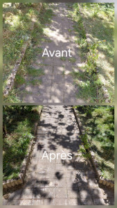 Photo de galerie - Désherbage d'une allée.