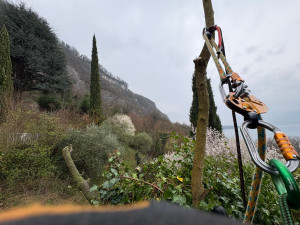 Photo de galerie - Taille