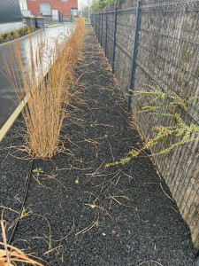 Photo de galerie - Mise au propre