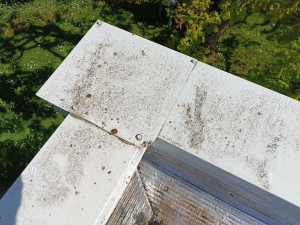 Photo de galerie - Nettoyage toit plat