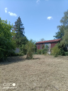 Photo de galerie - Débroussaillage 