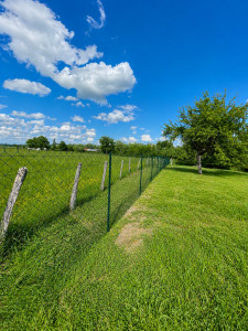 Photo de galerie - Clôture Grillage