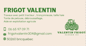 Photo de galerie - Bonjour je vous propose mes services 
