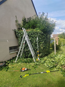 Photo de galerie - Taille de haies et d'arbustes