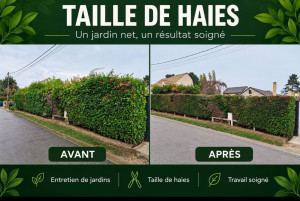 Photo de galerie - Paysagiste - Aménagement du jardin