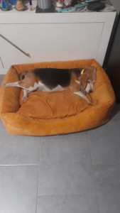 Photo de galerie - Princesse Jessy!