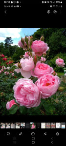 Photo de galerie - Aide a domicile 