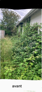 Photo de galerie - Tonte de pelouse - Débroussaillage