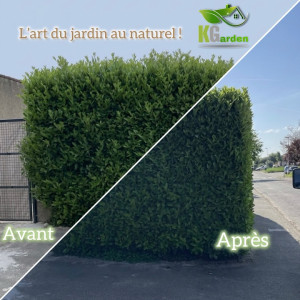 Photo de galerie - Taille de haie 