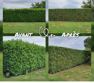 Photo de galerie - Avant & après 